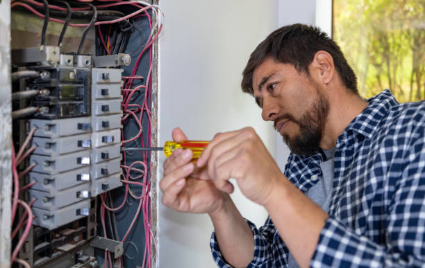 Best Electric Panel Repair  in New Ulm, MN
